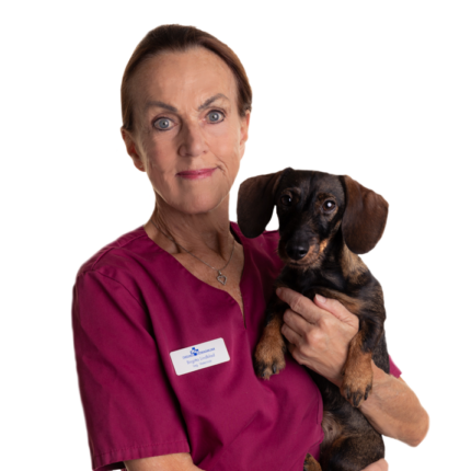 Birgitta